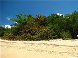 Ecumenical Chapel - VIEQUES